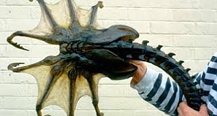 Antarktika'da Bulunan En Garip Canlılar